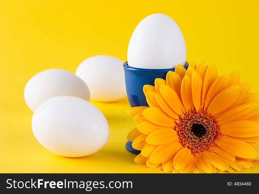 Yellow flower and four white eggs. Yellow flower and four white eggs
