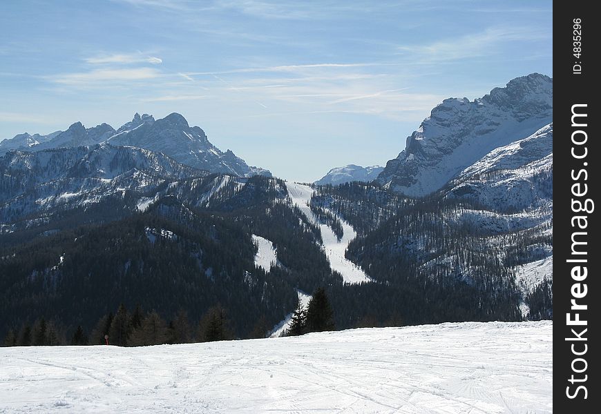 Ski slopes in the forest