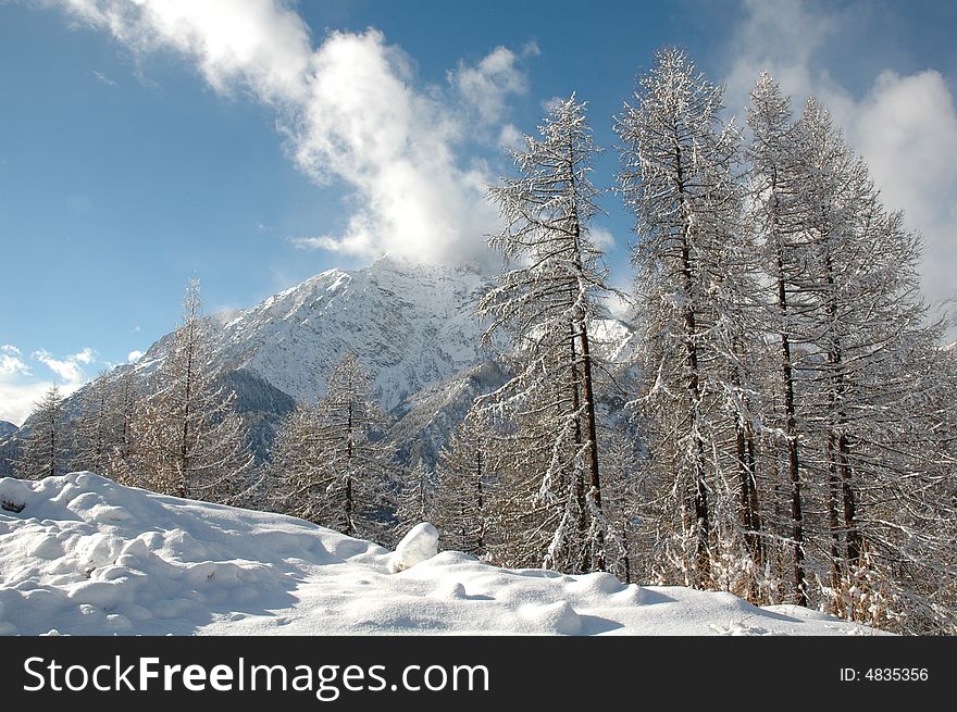 A magic mountain with the tree, snow and white clouds