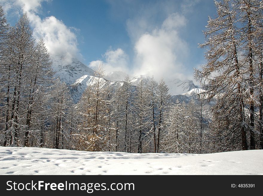 A magic mountain with the tree, snow and white clouds