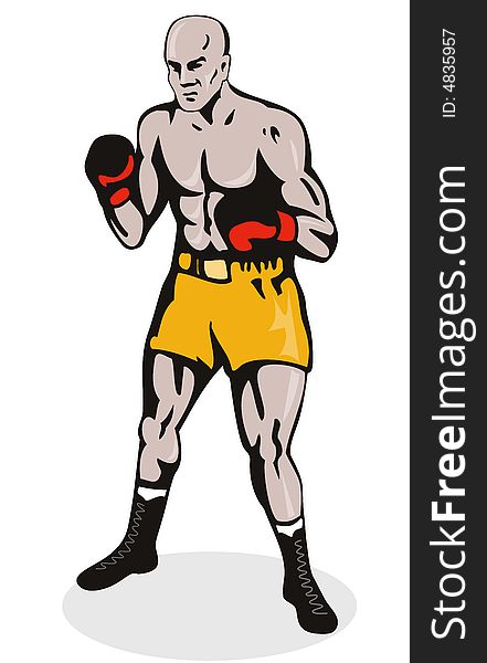 Boxer in fighting stance