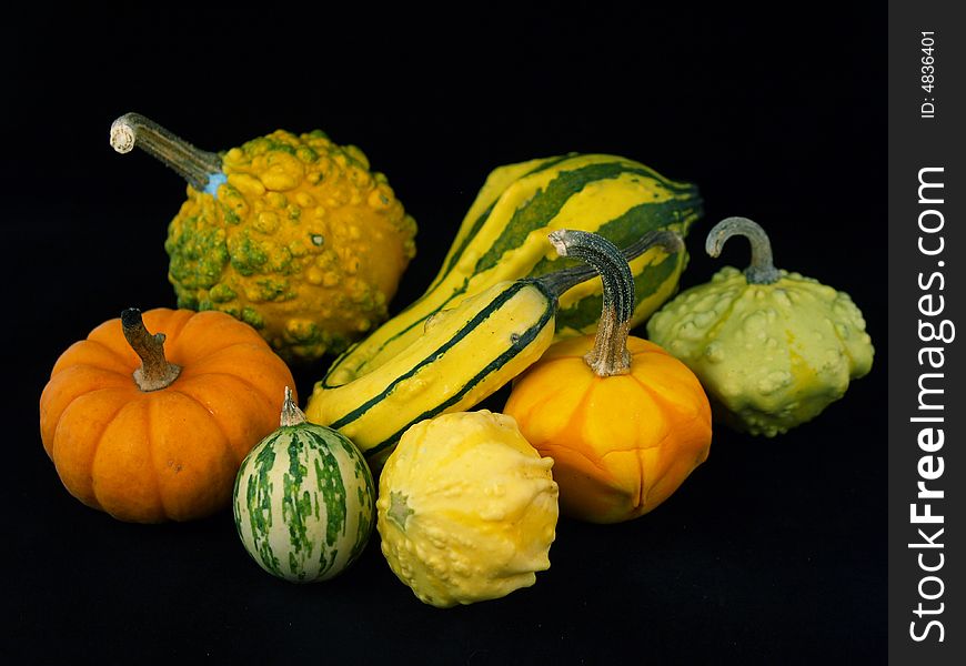 Assorted Gourds against a black background. Assorted Gourds against a black background