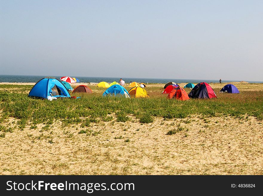 Many people camping on the grassland,near the sea. Many people camping on the grassland,near the sea