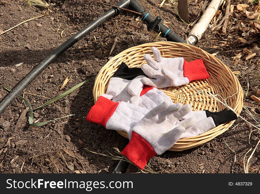 Garden gloves in a basket on ground