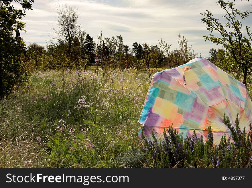 Sun protection, umbrella in meadow