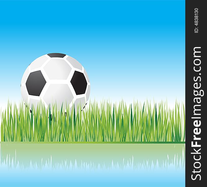 Football on grass, nature, vector illustration