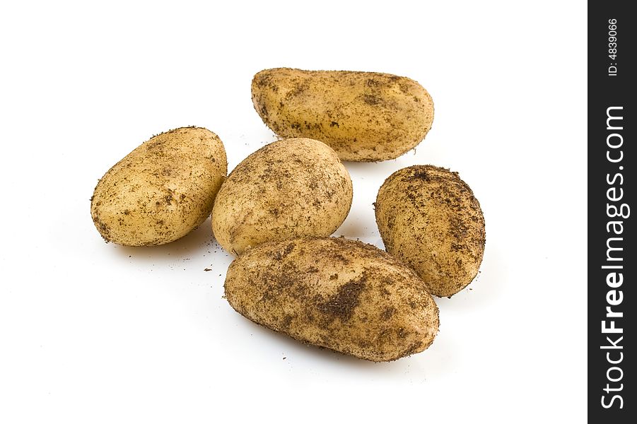 Unwashed potatoes, isolated on a white background. Unwashed potatoes, isolated on a white background