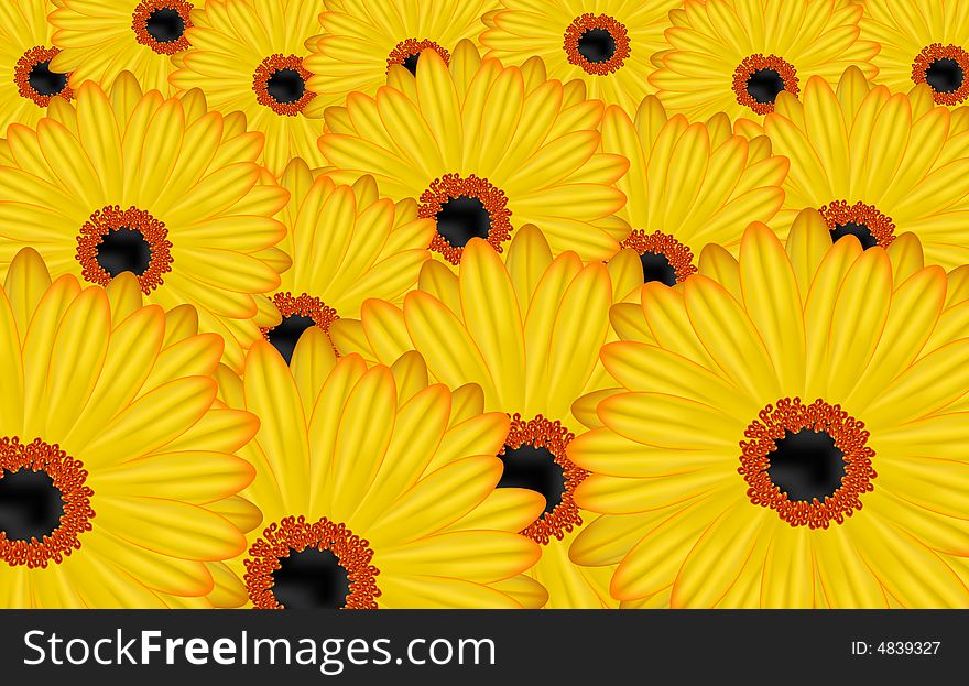 Background from many yellow flowers