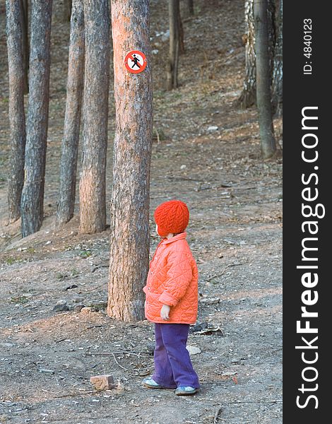 A little girl in a red cap goes for a walk on a pine-wood  under a sign Passage-way is forbidden