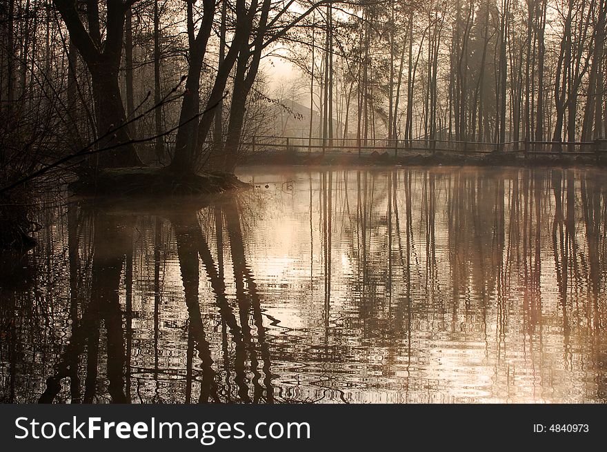 Morning lake in the park