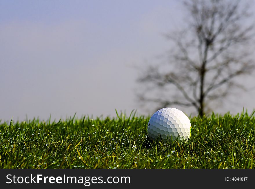 Golfball on gras with blue background. Golfball on gras with blue background