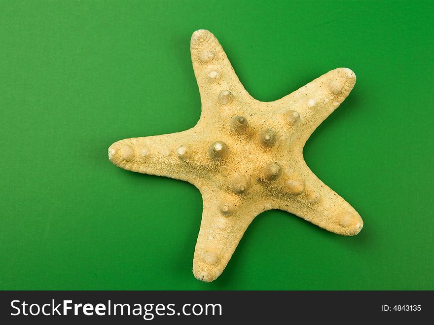 Dried star fish over green background