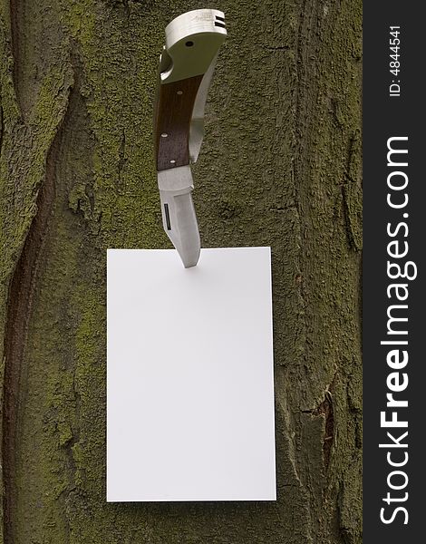 Blank paper for notes, tacked up with knife to the tree. Blank paper for notes, tacked up with knife to the tree