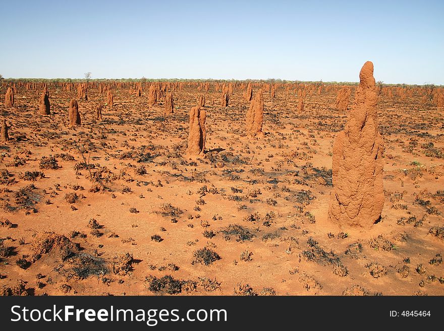 Feature land full of natural statues and texture of parched soil.Termitesil nests on Tanami road. Australia.
