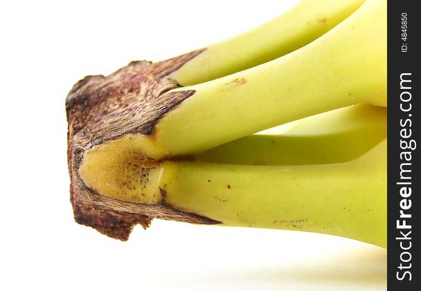 Detail image of banana bunch stems.