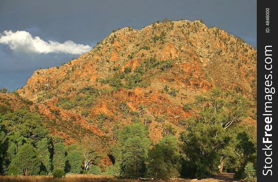 Australian red rock hill covered with typical plants. South Australia. Australian red rock hill covered with typical plants. South Australia