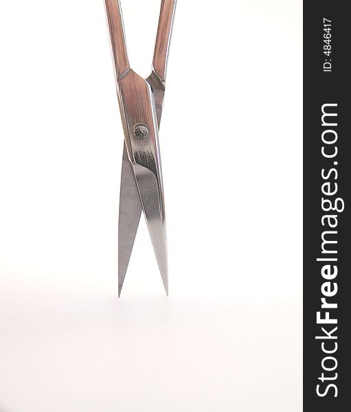 Image of slightly open, bright metal manicure scissor blades.  Vertical orientation.