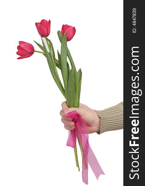 Three red tulips in man's hands