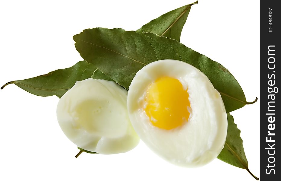 Egg5