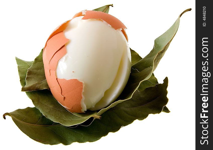 Egg