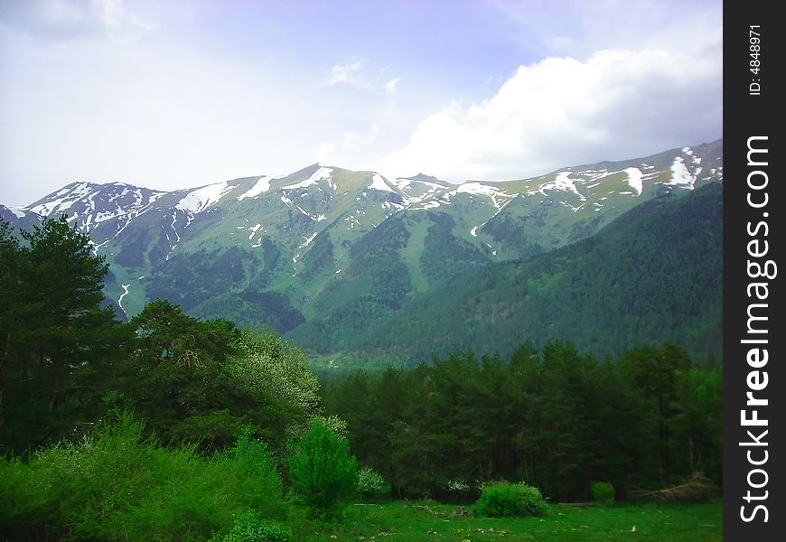 Green tree and mountain landscape