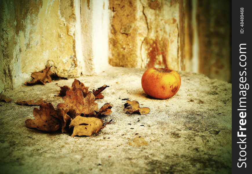 Still Life with Apples and dry leaves. Still Life with Apples and dry leaves