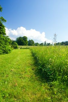 Meadow With Fence And Blue Sky. Stock Image Meadow With Fence And Blue Sky. Stock Image