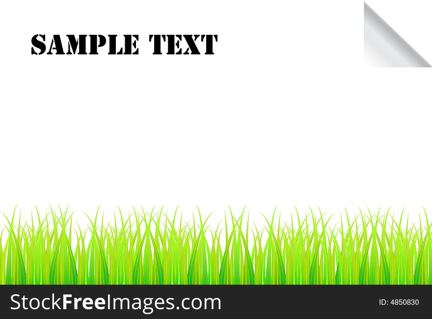 Illustration of grass with white background