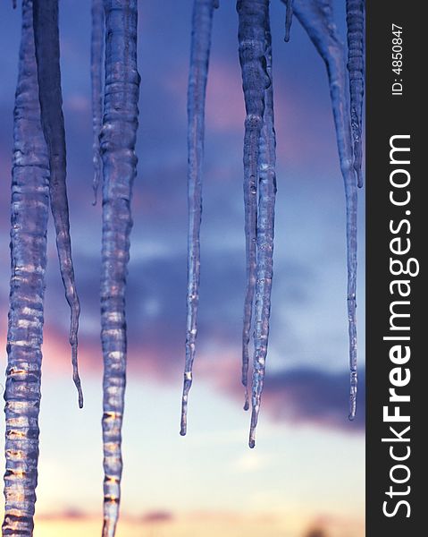 Hanging icicles in the winter sun