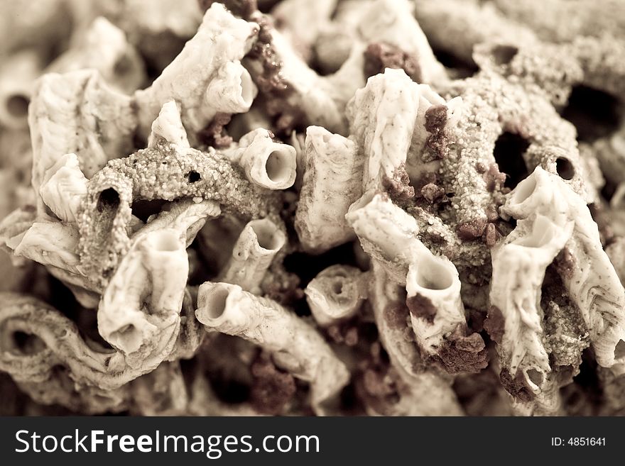 Close Up Of Dried Up Coral Reef In Black And White