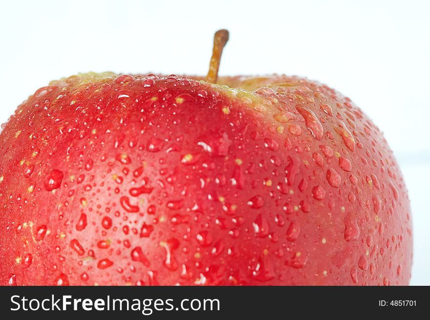 An apple with water drops. An apple with water drops