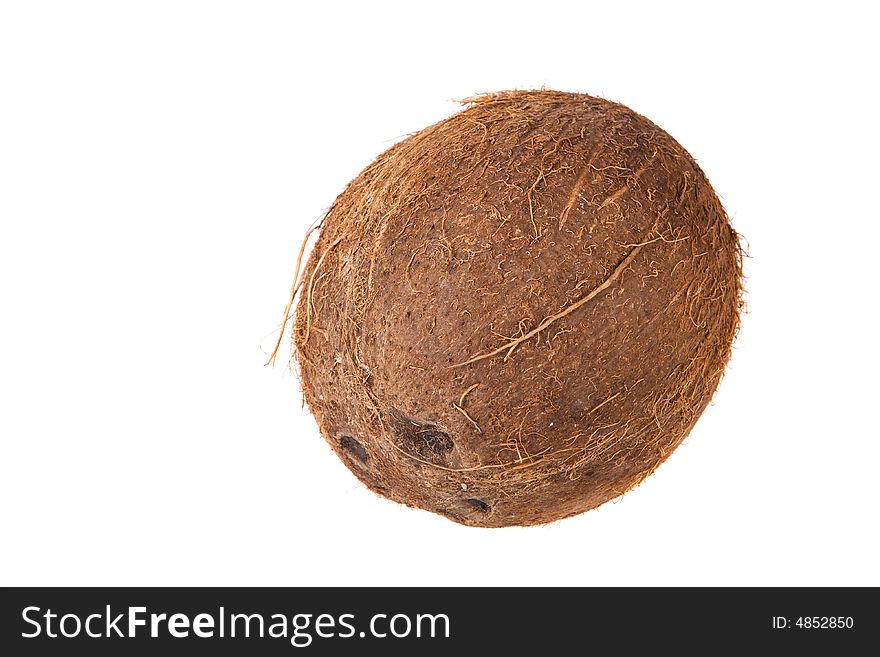 A coconut seed on a white background