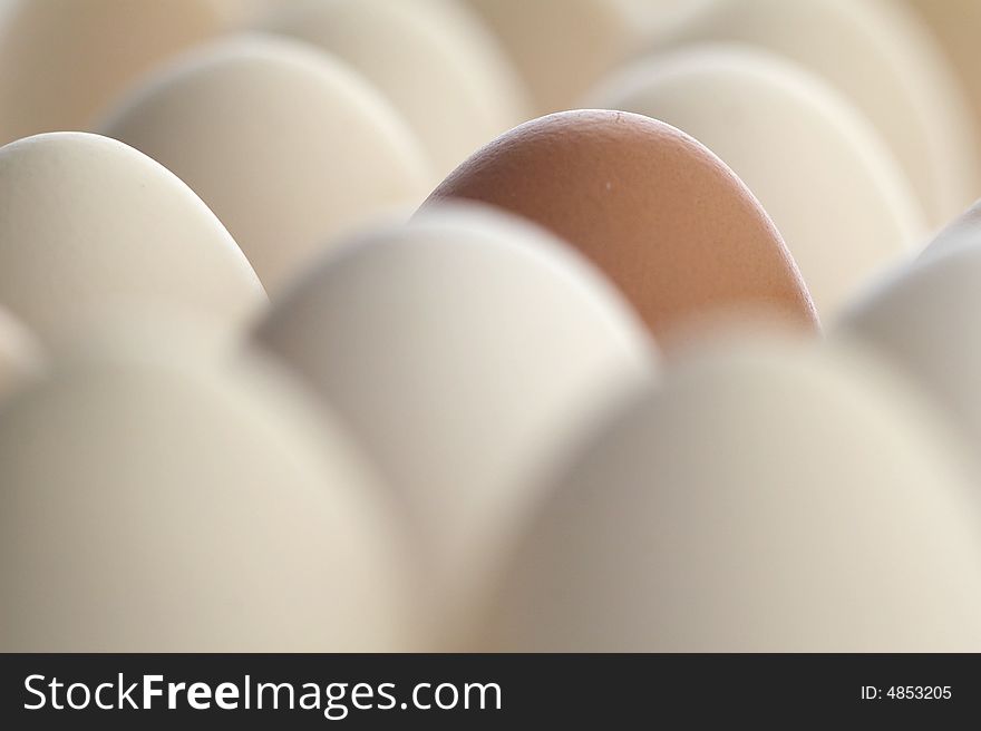 Brown egg between white eggs