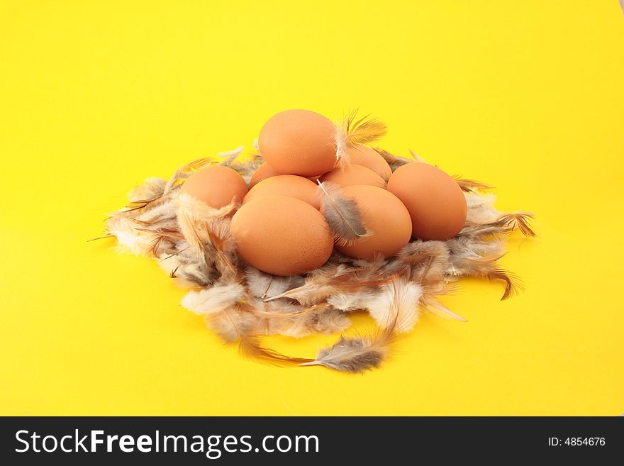 Chickens eggs in nest on feather background