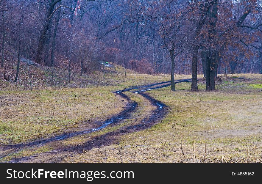 Trail in park near kiev at winter time