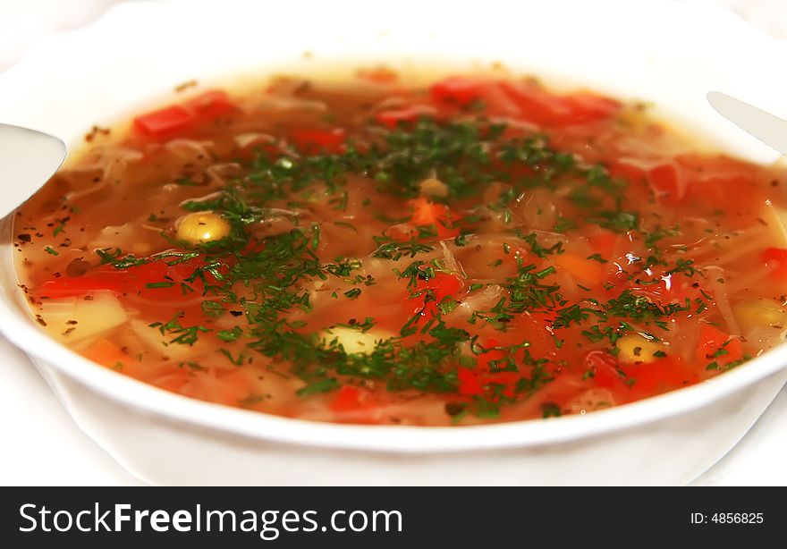 Russian national kitchen-borshch with a fresh parsley