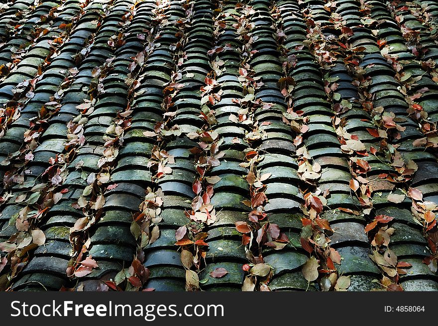Tiles roof of the old house,China Southern village.