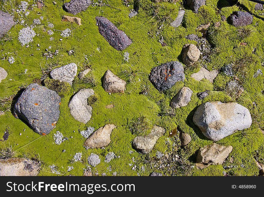 Grey stones on a green moss.