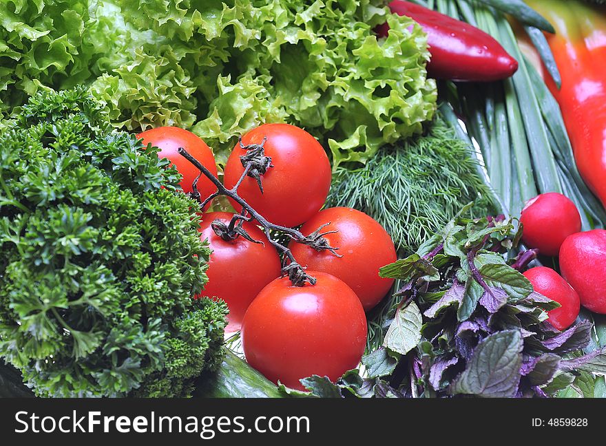 A lot fresh vegetables on table