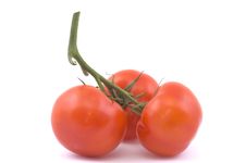 Three Full Red Tomatoes On A Branch. Stock Image