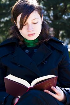 Young Woman Reading Stock Image