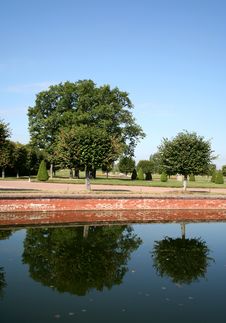 Two Trees Are Reflected In The Calm Pond Stock Photo Two Trees Are Reflected In The Calm Pond Stock Photo