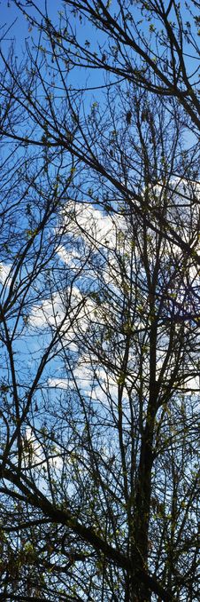 Blue Sky Royalty Free Stock Photography Blue Sky Royalty Free Stock Photography
