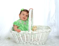 Me And Chicken In Basket Royalty Free Stock Photos Me And Chicken In Basket Royalty Free Stock Photos