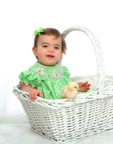 Me And Chicken In Basket Stock Photography Me And Chicken In Basket Stock Photography