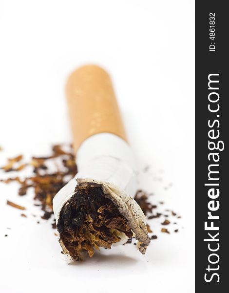 A cigarette butt on white background