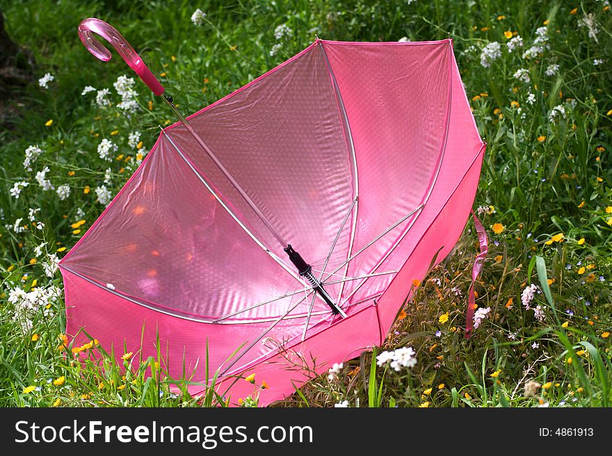 Pink umbrella in the nature