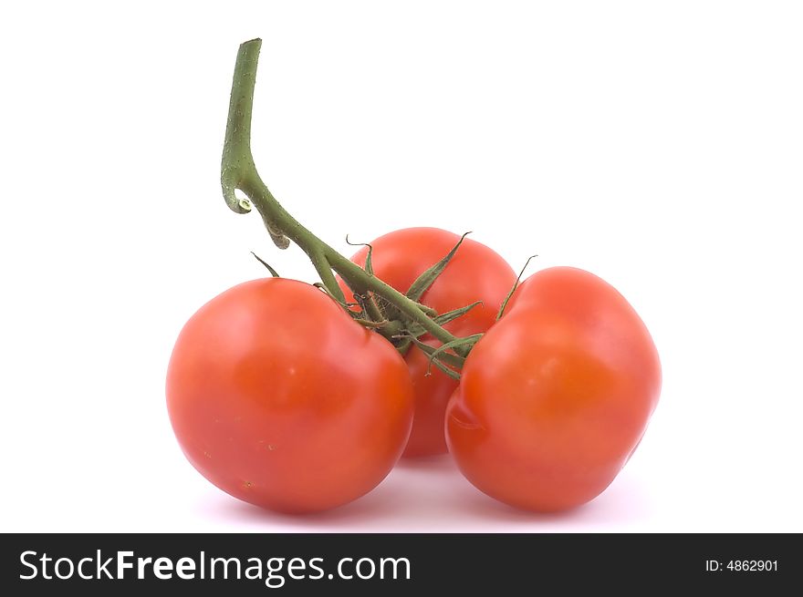 Three full red tomatoes on a branch.