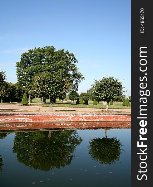 Two trees are reflected in the calm pond