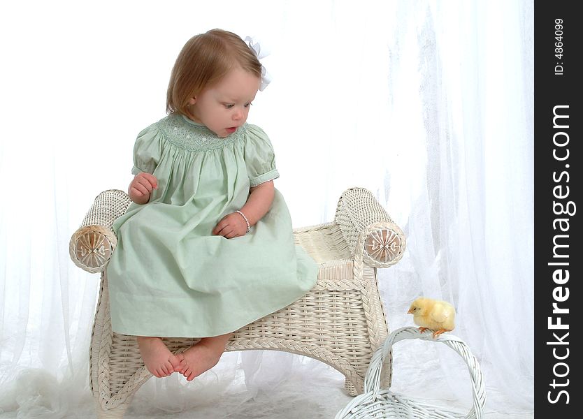 Baby girl on wicker bench looking at chick perched on basket in front of white background. Baby girl on wicker bench looking at chick perched on basket in front of white background